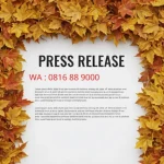 Jasa Publikasi Press Release Luwu
